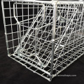 Collapsible Squirrel Trap Cage Squirrel Trap Steel Rabbit Trap Cage Supplier